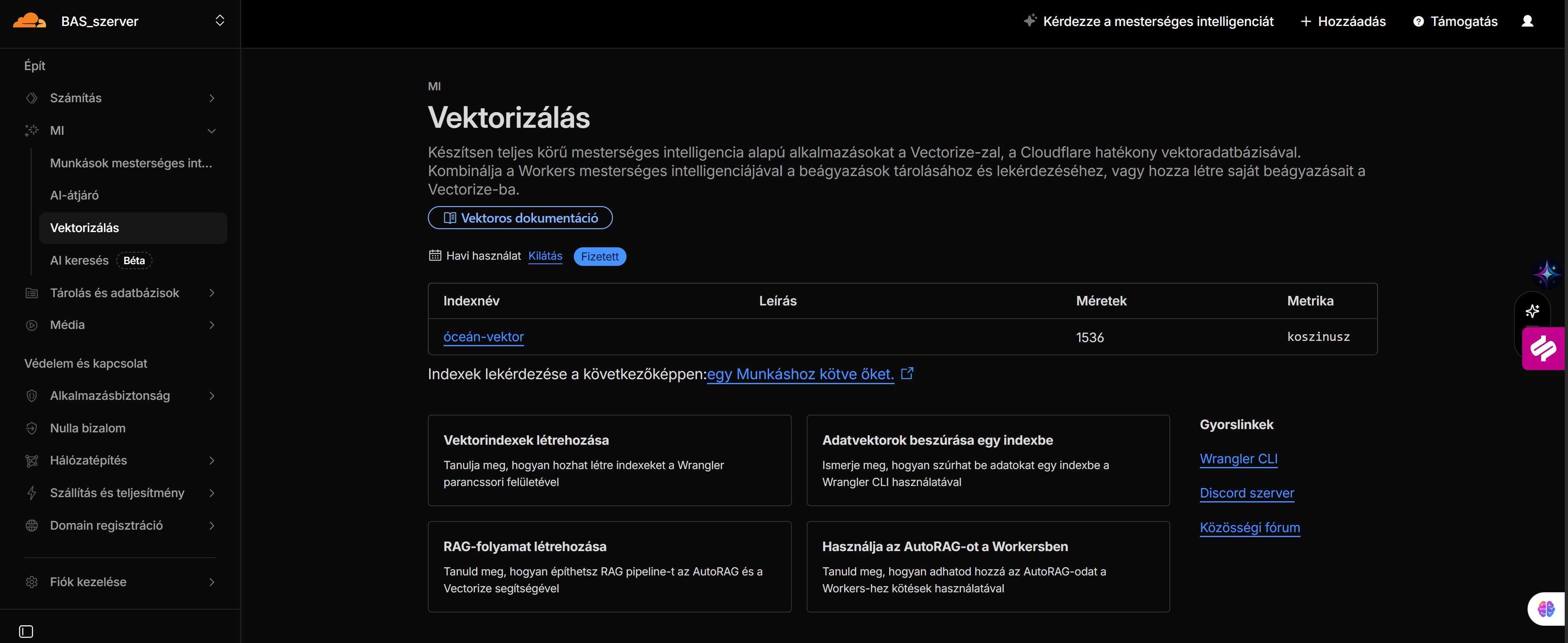 Brunella Agent System képernyőkép